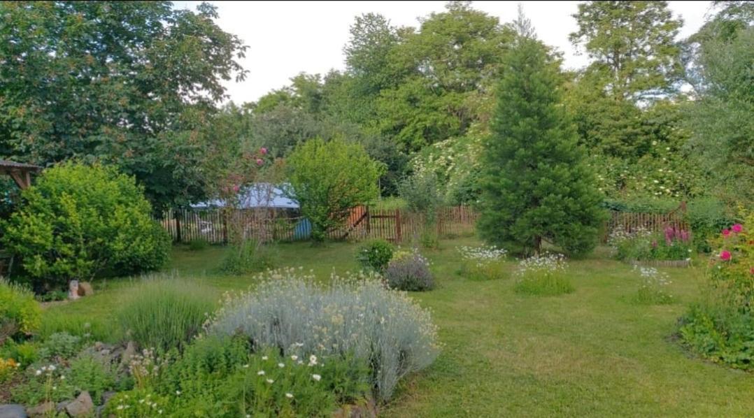Orangerie Zimmer Gehaichnishof 7Born Maring-Noviand Екстериор снимка